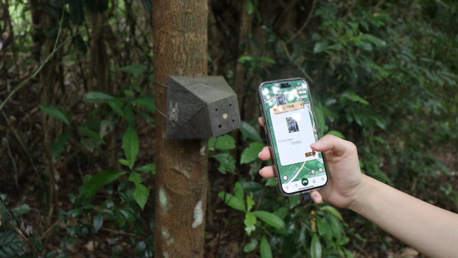 GoForest mobile app - self-guided tour around villages